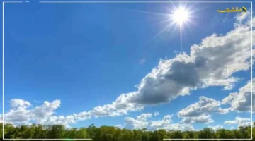 قبل الخروج اليوم.. تعرف على حالة الطقس في السعودية الأحد 28 سبتمبر 2025 1